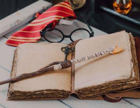 open book with wizard wand and harry potter glasses and tie