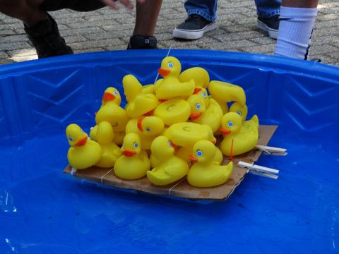 rubber ducks on cardboard boat