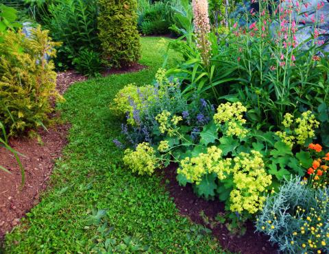 beautiful yard with colorful flowers and plants