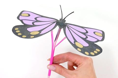 Creation Station- Flying Butterfly Craft