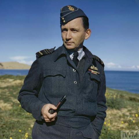 photo of Sir Arthur Tedder standing in a field