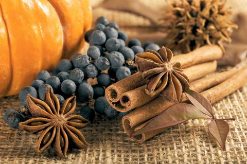 whole anise seeds, cinnamon sticks and cedar berries sitting on burlap next to a pumpkin and some fall leaves