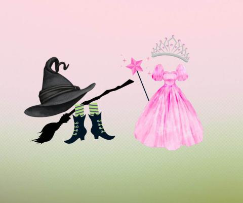 wicked witch hat, broom and boots, good witch pink dress, wand and tiara