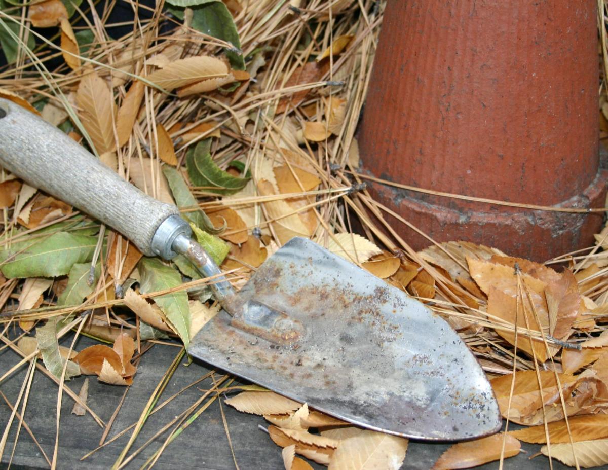 spade and clay pot on dried leaves