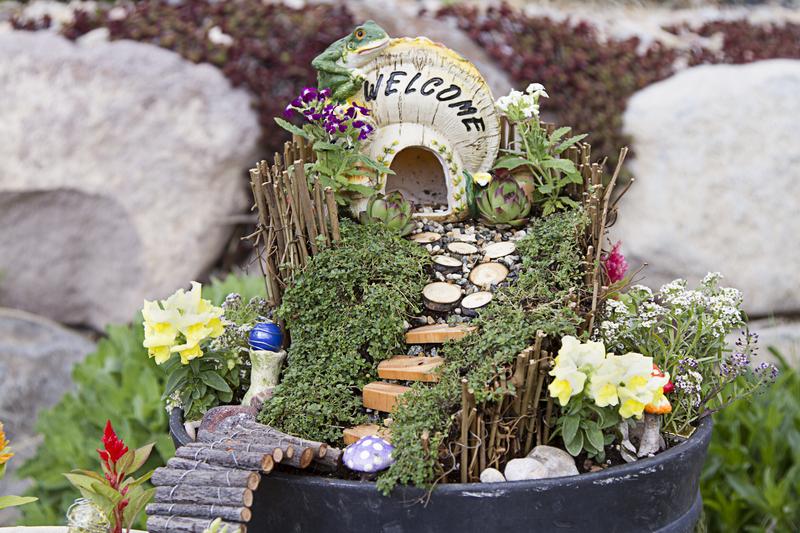 fairy garden