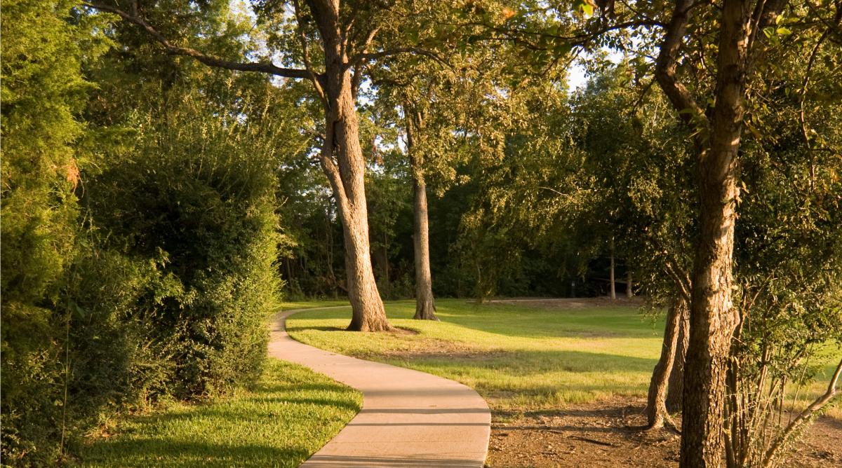 paved walking trail in park