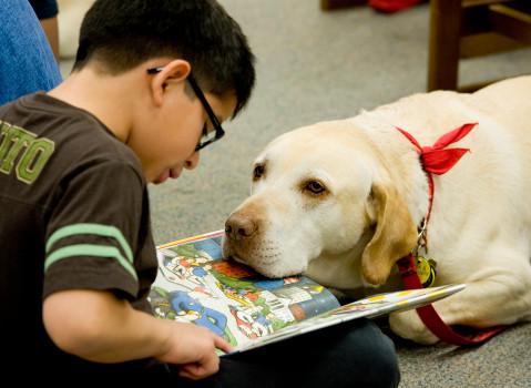 Read to a Dog