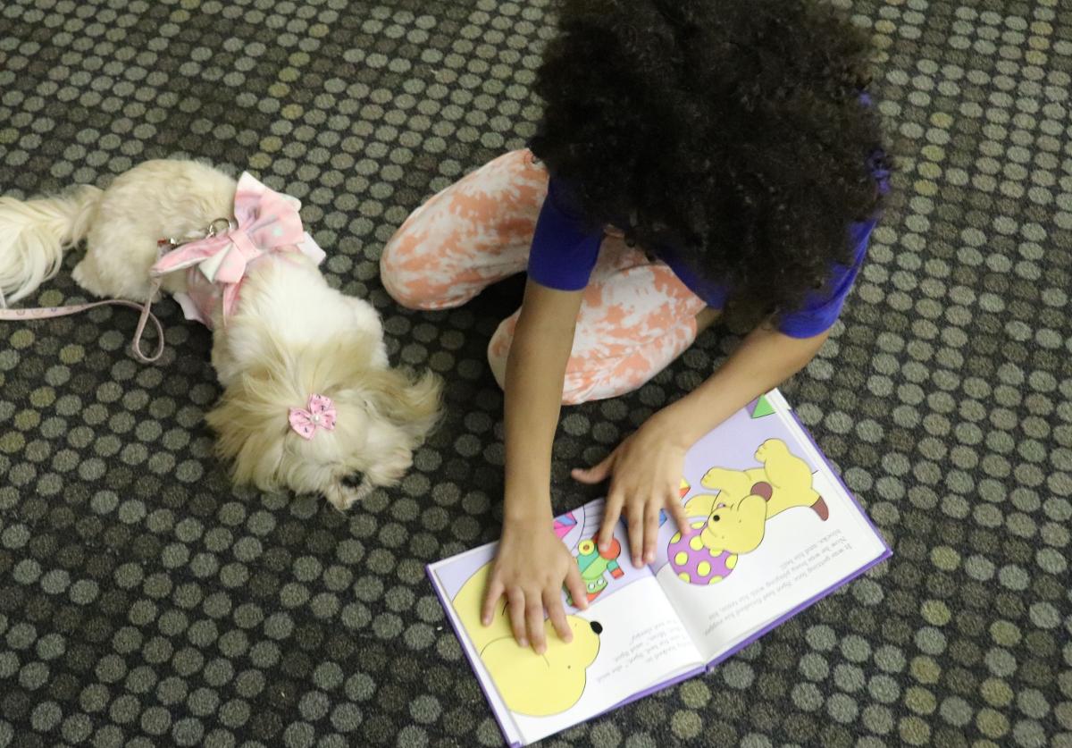 girl reading to a dog